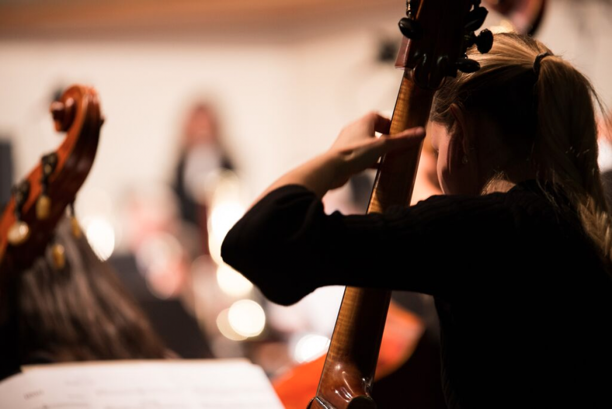 concerts-2015-violoncelliste