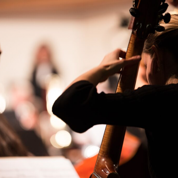 concerts-2015-violoncelliste